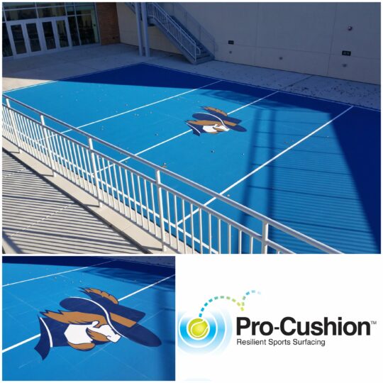 Pro Cushion Outdoor Volleyball Court Commercial Campus, Mountain View, CA