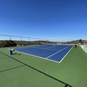 Cushion Extreme Tennis Court